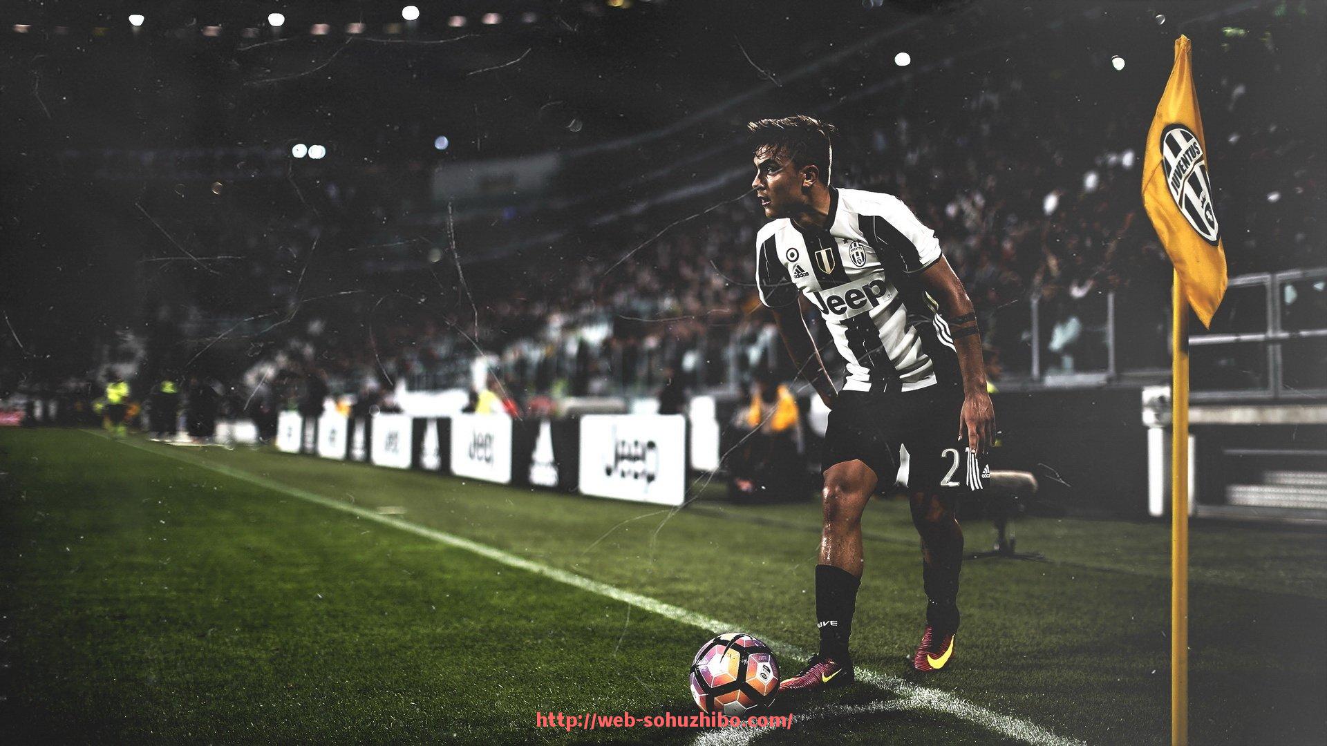 搜狐体育直播-哪种健身器材减脂效果好？体育训练科学推荐